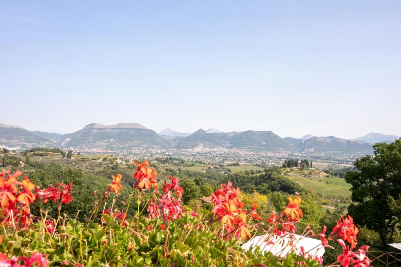 Agriturismo Casalta Губбио Экстерьер фото